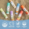 image:imageBadger Classic Lip Balm Variety Pack Yellow Box 4PackGreen Box