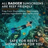 image:imageBadger Mineral Kids Sunscreen Face Stick SPF 35 Organic 65 oz 2Pack065 Ounce Pack of 1