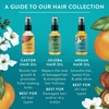 image:imageBadger Organic Argan Hair Oil Frizz Taming 2 fl oz Glass BottleArgan Oil