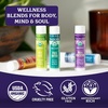 image:imageBadger Organic Headache Soother Peppermint amp Lavender 6 ozVariety Pack