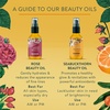 image:imageBadger Organic Seabuckthorn Face Oil AntioxidantRich Vegan 1 fl ozSea Buckthorn