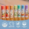 image:imageBadger Pink Grapefruit Classic Organic Lip Balm 4 PackGreen Box