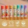 image:imageBadger Pink Grapefruit Classic Organic Lip Balm 4 PackVanilla Madagascar
