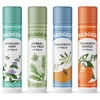image:imageBadger Pink Grapefruit Classic Organic Lip Balm 4 PackGreen Box